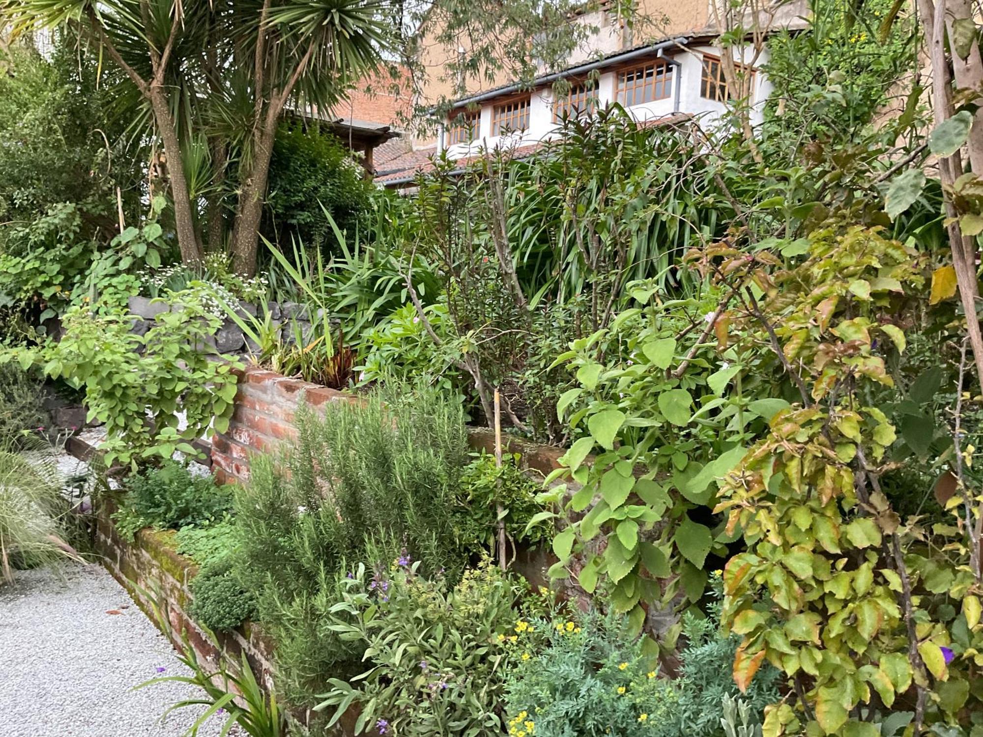 Wantara Apartamento Quito